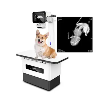 Ветеринарный рентгеновский аппарат DAWEI Factory 125ma Дешевый аналоговый рентгеновский аппарат для ветеринарной клиники