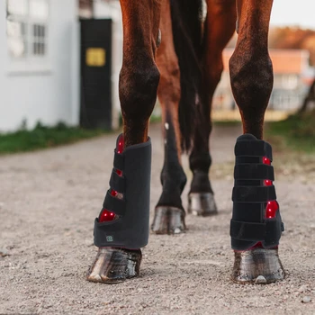 Ветеринарное устройство для световой терапии лошадей мощностью 55 Вт, светодиодная лампа для лечения красным светом ног лошадей